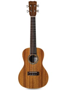 If your child is really tiny, you may want to consider starting them on this Cordoba 15CM Concert Ukulele. 